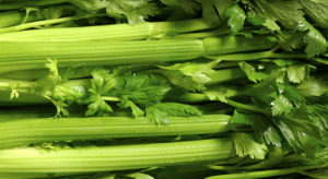 Celery 1