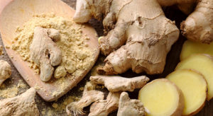 Ginger 1