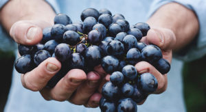 Grapes 1