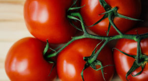 Tomato 1
