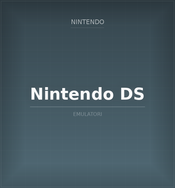 Nintendo DS (NDS)